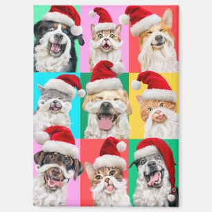 Imán Perros y Gatos con Barba de Santa