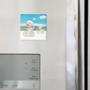 Imán Perros y gatos en bicicleta junto al mar