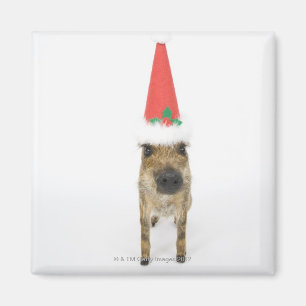 Imán Persiga en gorra del navidad