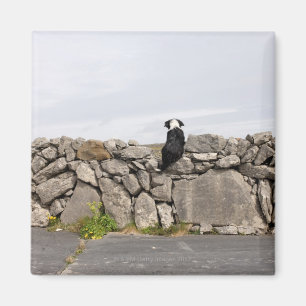 Imán Persiga sentarse en una pared de piedra irlandesa