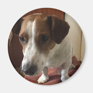 Imán Personalisiert Magnete