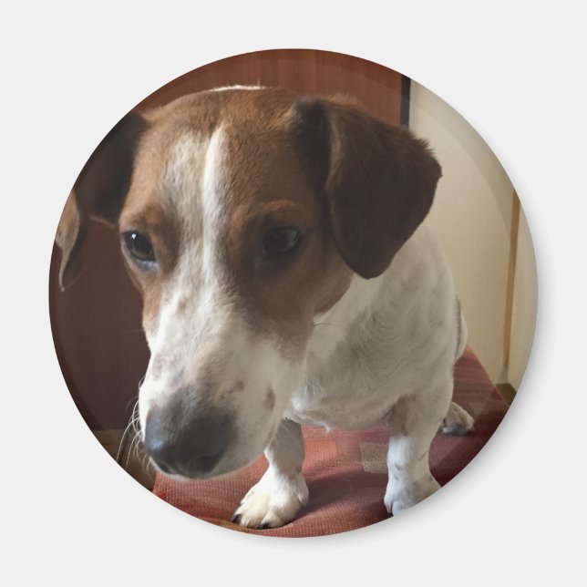 Imán Personalisiert Magnete (Frente)