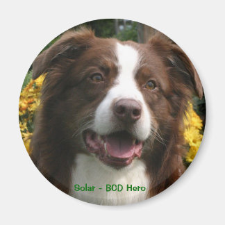 imán personalizable