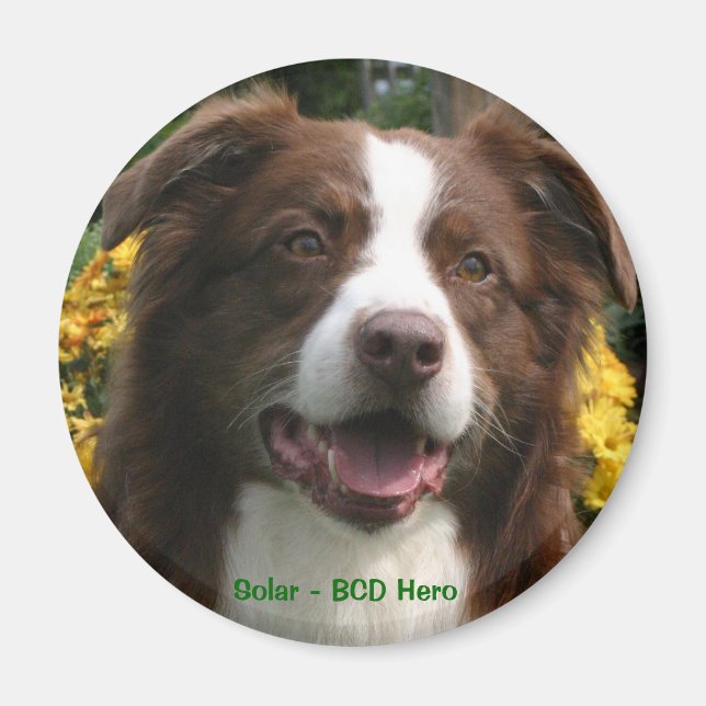 imán personalizable (Frente)