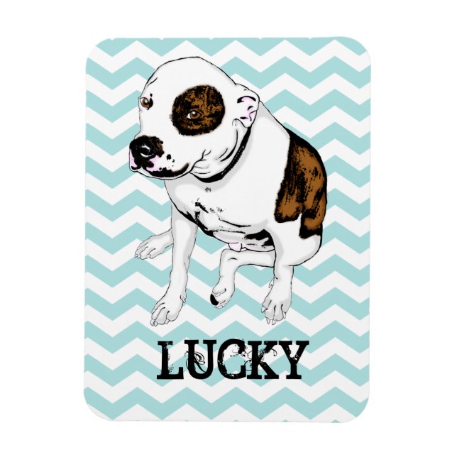 Imán Personalizable Pit Bull Verde azulado Chevron Frid (Vertical)