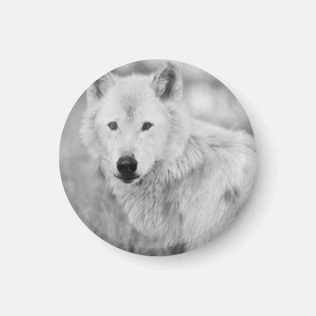 Imán Personalización personalizado hágalo usted mismo A (Frente)