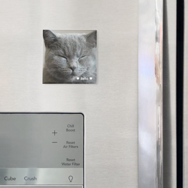 Imán Personalizado Cute Gray Kitty Face Photo Magnet (In situ (nevera))