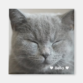 Imán Personalizado Cute Gray Kitty Face Photo Magnet