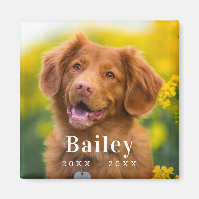 Imán Personalizado de Dog Memorial Mascota Foto Fridge (Frente)