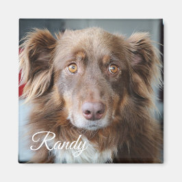 Imán personalizado de fotografía y nombre de perro