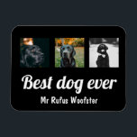 Imán Personalizado de fotos y texto personalizado<br><div class="desc">Añada su propia foto y texto a este imán de personalizable,  personalizado para satisfacer sus necesidades de Ricaso</div>