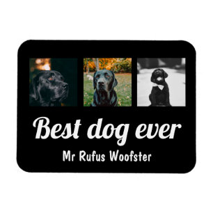 Imán Personalizado de fotos y texto personalizado