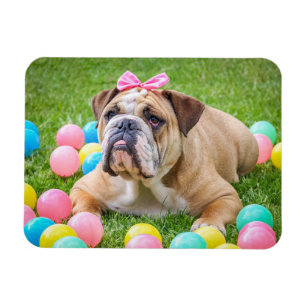 Imán personalizado de la foto del mascota del