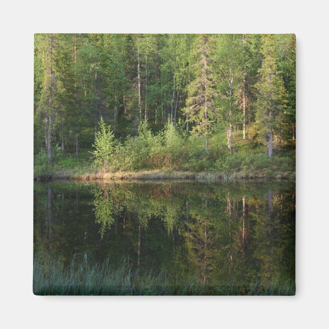 Imán personalizado de las reflexiones de la natura (Frente)