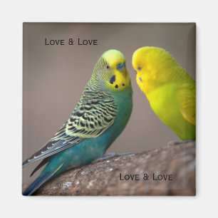 Imán Personalizado dos imágenes de loro con texto Logra