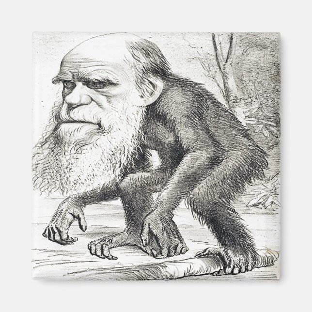 Imán Personalizado Editorial De Charles Darwin 1871 (Frente)