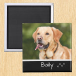 Imán Personalizado fotográfico mascota Personalizar<br><div class="desc">Este diseño se creó a través del arte digital. Puede ser personalizado en el área de proporcionar o personalizar eligiendo la opción de pulsar para personalizar y cambiando el nombre, las iniciales o las palabras. También puede cambiar el color y estilo del texto o eliminar el texto para un diseño...</div>