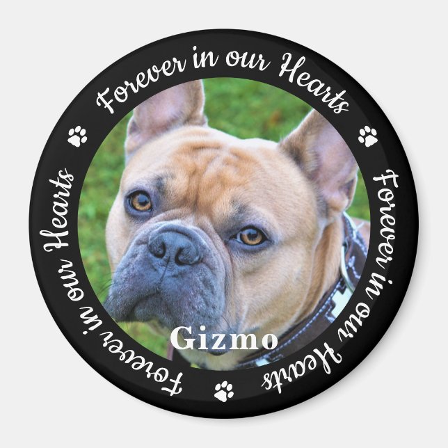 Imán Personalizado Mascota de fotos Perro Nevera conmem (Frente)