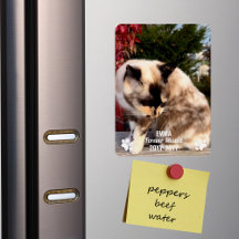 Personalizado moderno de fotografía en memoria de