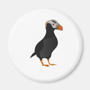 Imán Personalizado Permanente Adorable De La Aleta De A