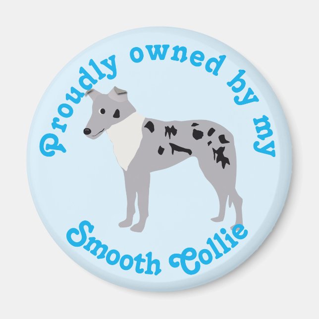 Imán Personalizado Smooth Collie Merle Magnet (Frente)