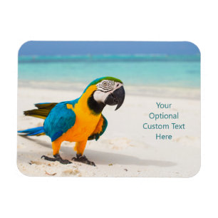 Imán Personalizado texto Beach Parrot