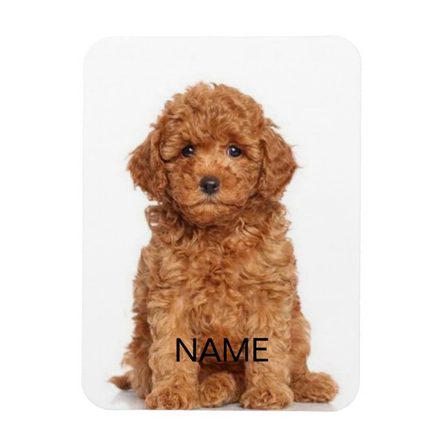 Imán Personalizar personalizado con foto y nombre (Vertical)