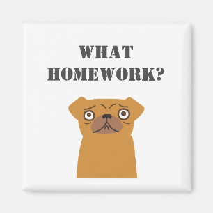 Imán ¿Personalizar Qué Homework?