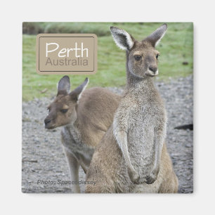Imán Perth Australia Kangaroo Travel Fridge Magnets