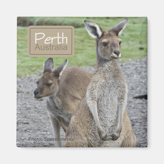 Imán Perth Australia Kangaroo Travel Fridge Magnets (Frente)