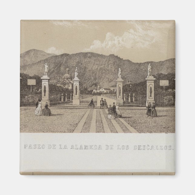 Imán Perú 33 (Frente)