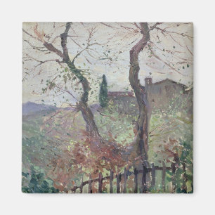 Imán Perugia, Umbría, 1894