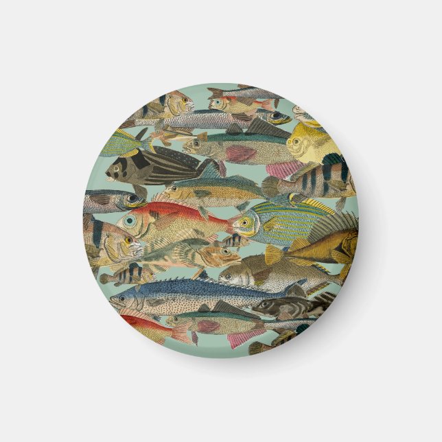 Imán Pesca de pescadores Pesca en aguas profundas Exóti (Frente)