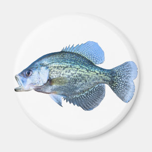 Imán Pesca del tipo de pez