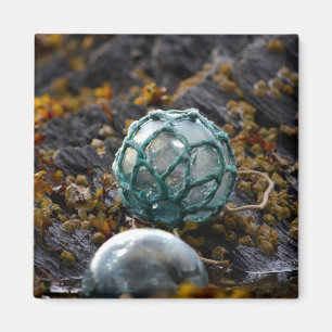 Imán Pesca flotante en piscina de marea, Alaska