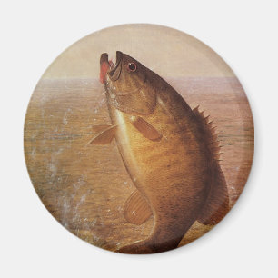 Imán Pesca Vintage, Lubina de Boca Pequeña Saltando en
