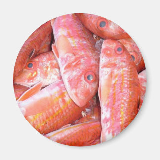 Imán Pescado