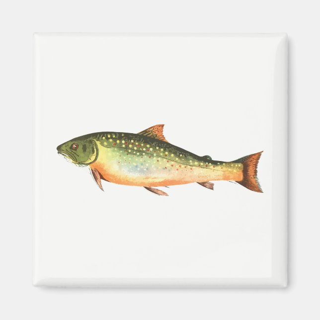 Imán Pescado (Frente)