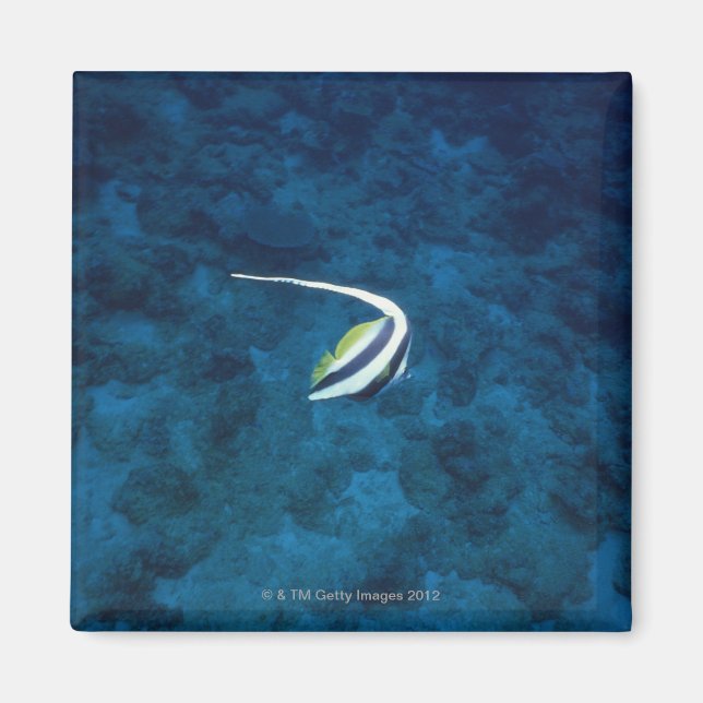 Imán Pescado 2 (Frente)