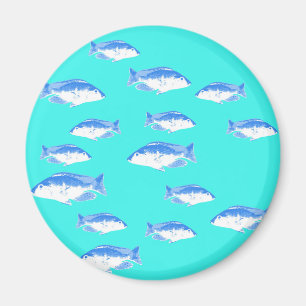 Imán Pescado azul en turquesa