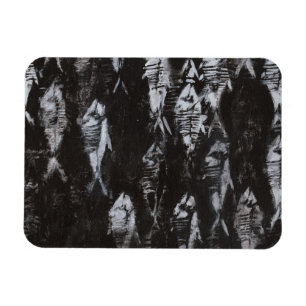 Imán Pescado blanco fósil sobre fondo negro