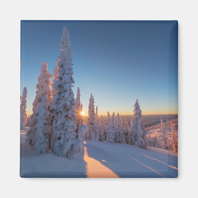 Imán Pescado blanco, Montana (Frente)