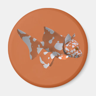 Imán Pescado blanco-naranja