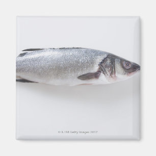 Imán Pescado branzini entero