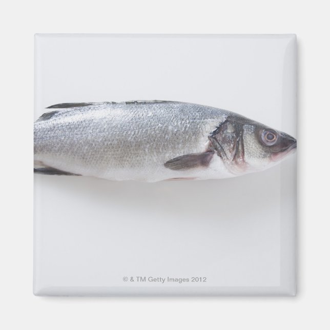 Imán Pescado branzini entero (Frente)