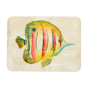Imán Pescado colorido
