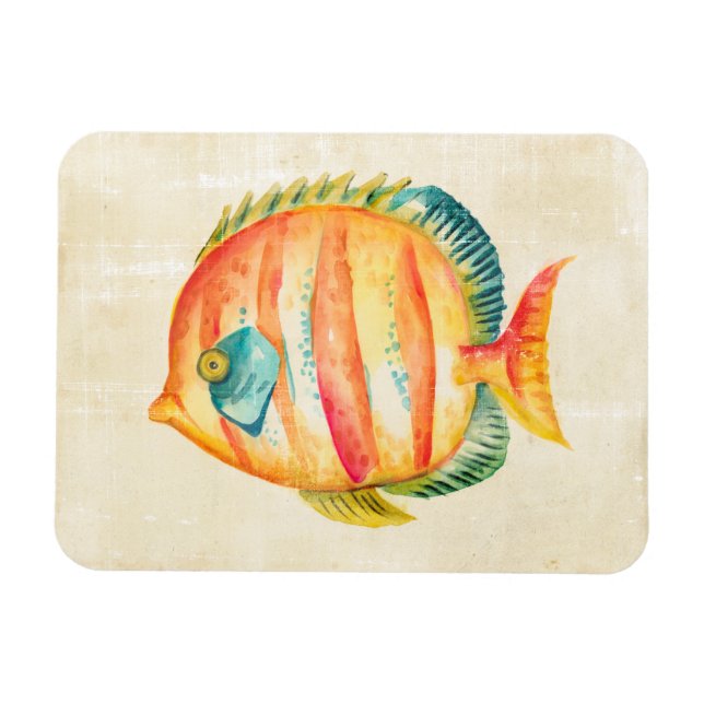 Imán Pescado colorido acuario (Horizontal)