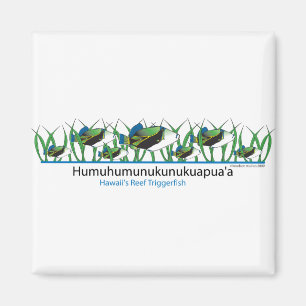 Imán Pescado de arrecife-