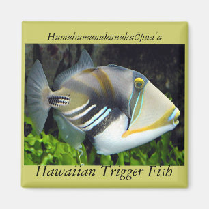 Imán Pescado del estado de Hawái