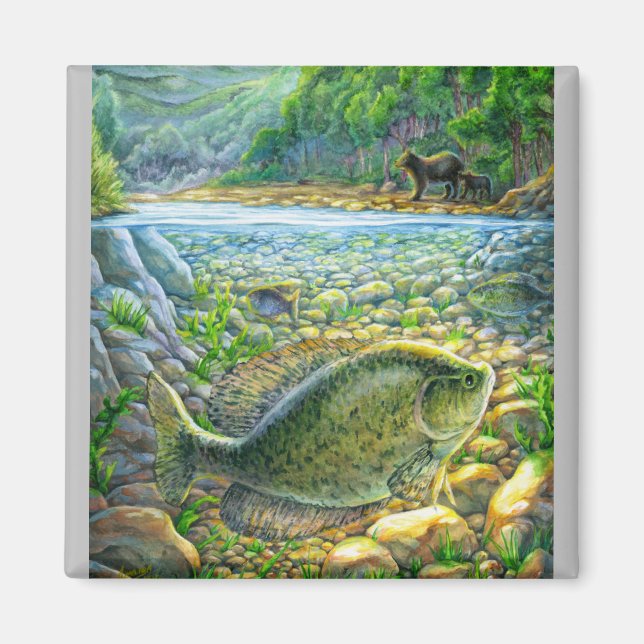 Imán Pescado del río Montaña (Frente)